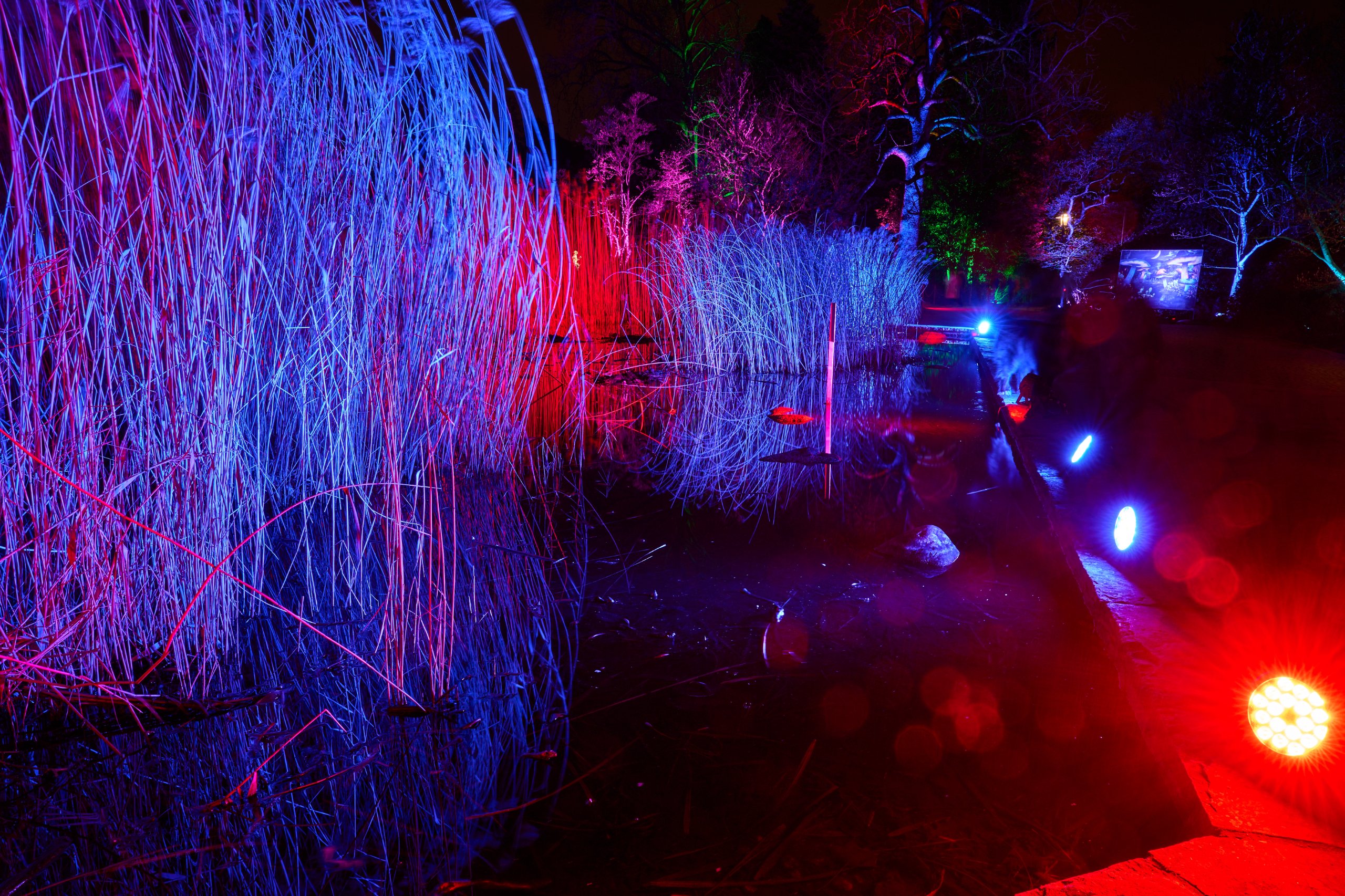 2026 02 05 Parkleuchten 0434